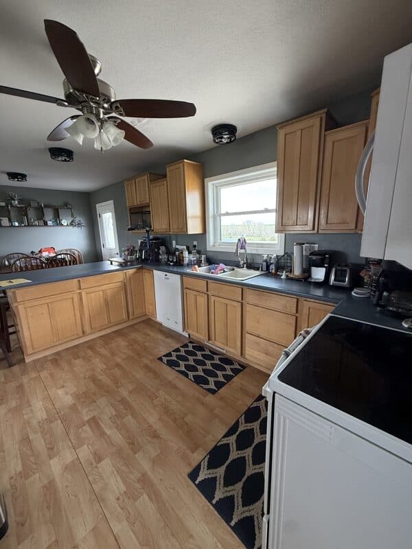 Rural Home on Highway with 7 ± Acres – 1 Mile from Mount Ayr