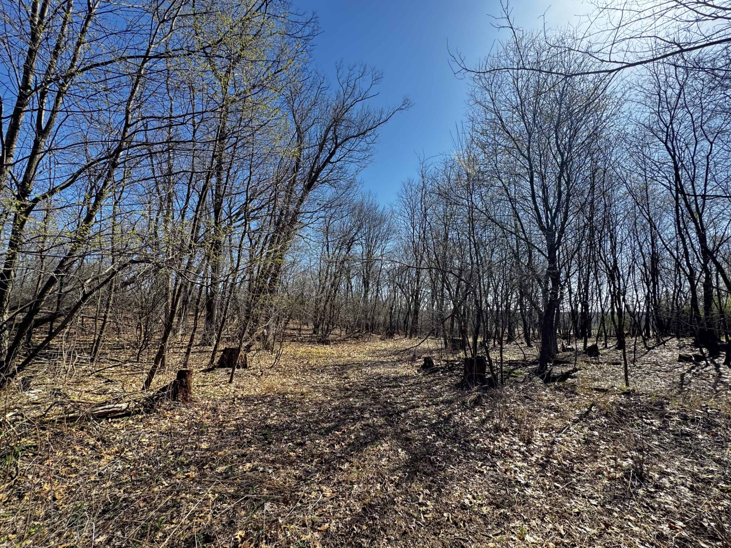 2 Properties Marquette County Online Only Auction