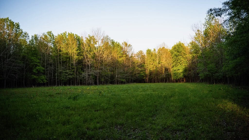 Legacy Waterfowl Hunting in the Mississippi Delta