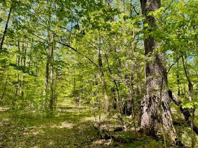 69 Acres For Sale Starkville MS
