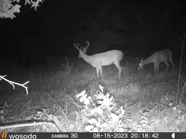 Deer, Duck, and Turkey Hunting in Claiborne County, MS