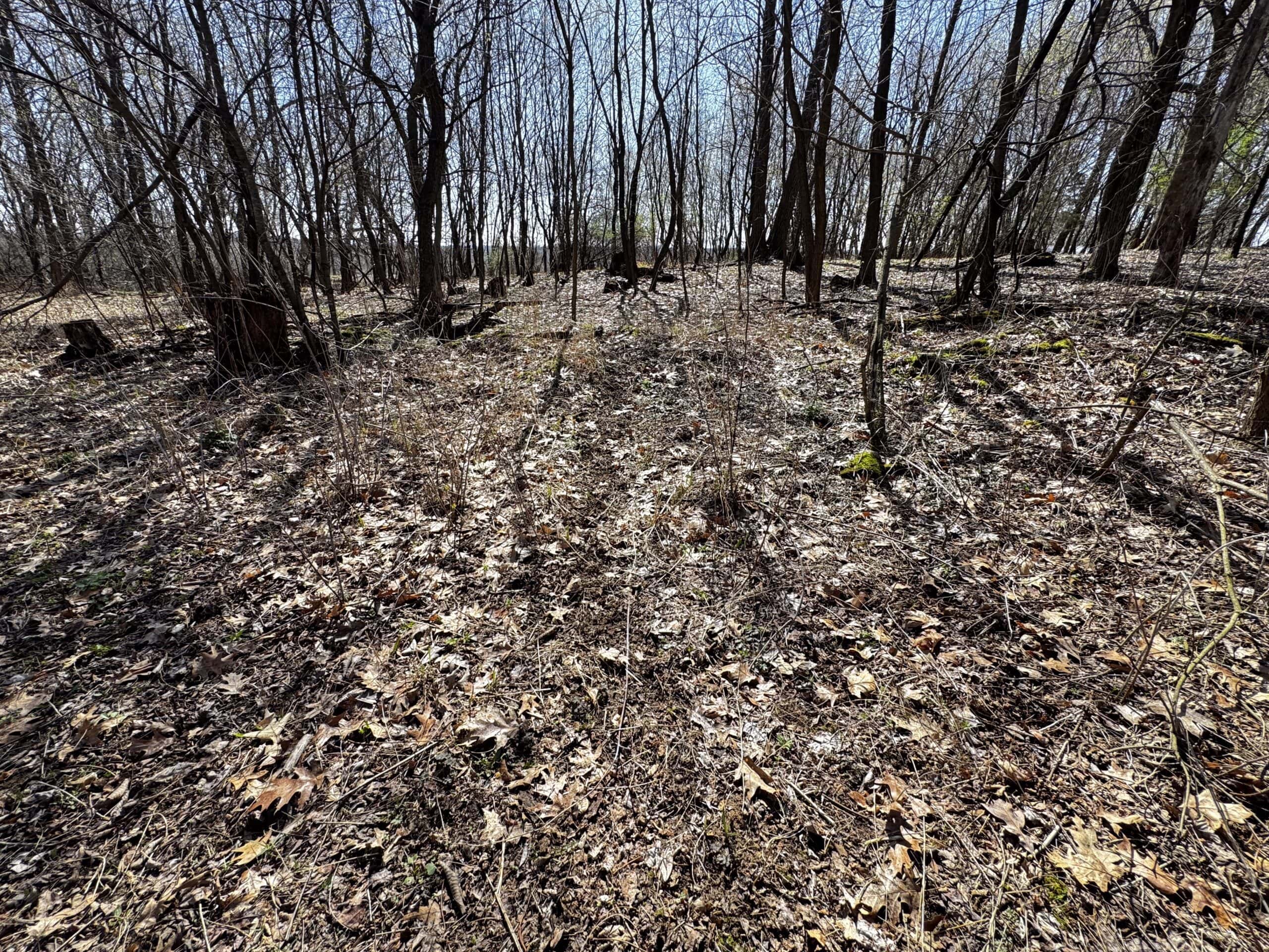 2 Properties Marquette County Online Only Auction