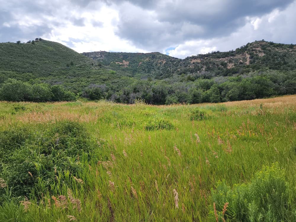 Cabin on 36 Acres with National Forest Access