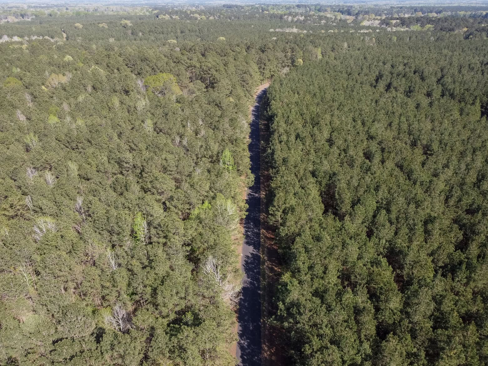 Longstraw 53 (Tract 2) Jackson Parish Timberland