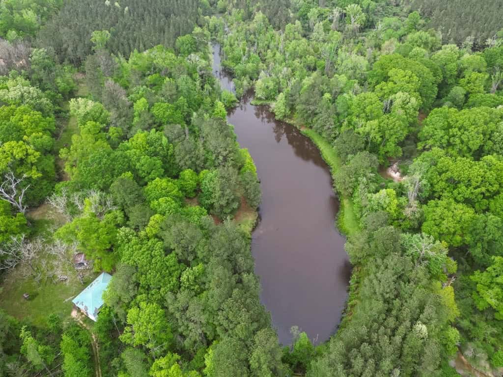 183 Acres and Camp for Sale with Lake, Timber Amite Co., MS