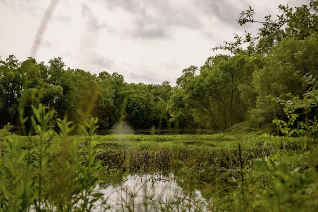 Deer, Duck, and Turkey Hunting in Claiborne County, MS