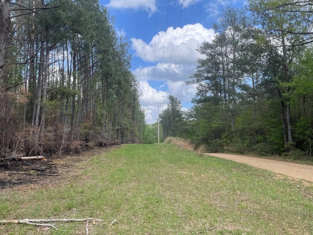 Amite County 38.6 Acres For Sale