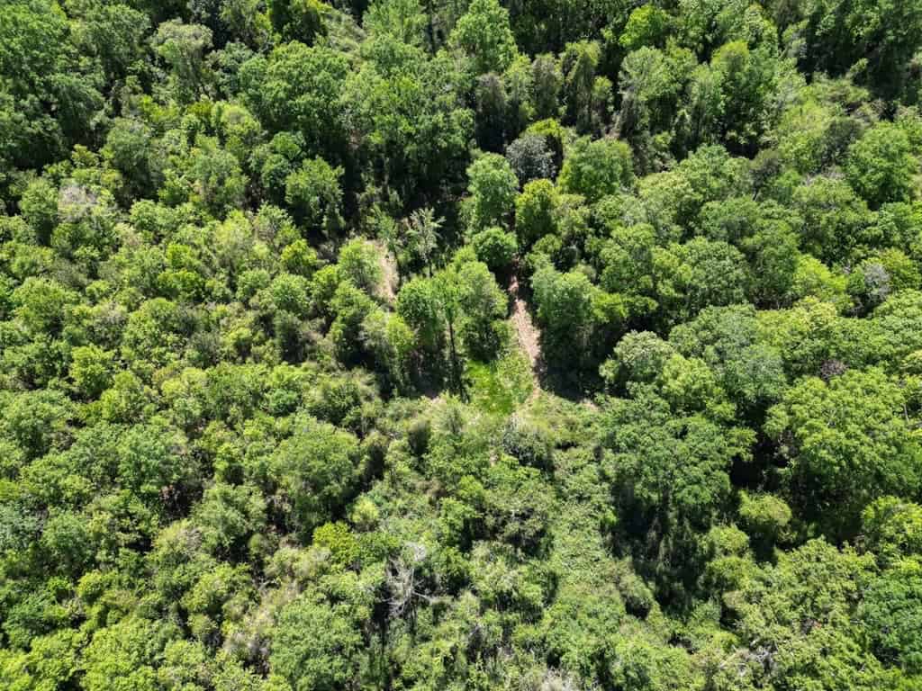 Deer and Turkey Property in Pike County, MS