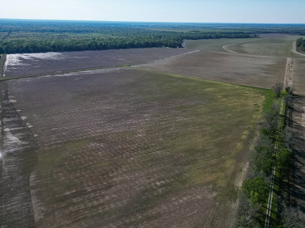 Legacy Waterfowl Hunting in the Mississippi Delta