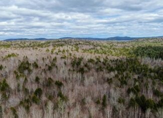 40.8 Acres of Off-Grid Paradise in Lakeville, Maine