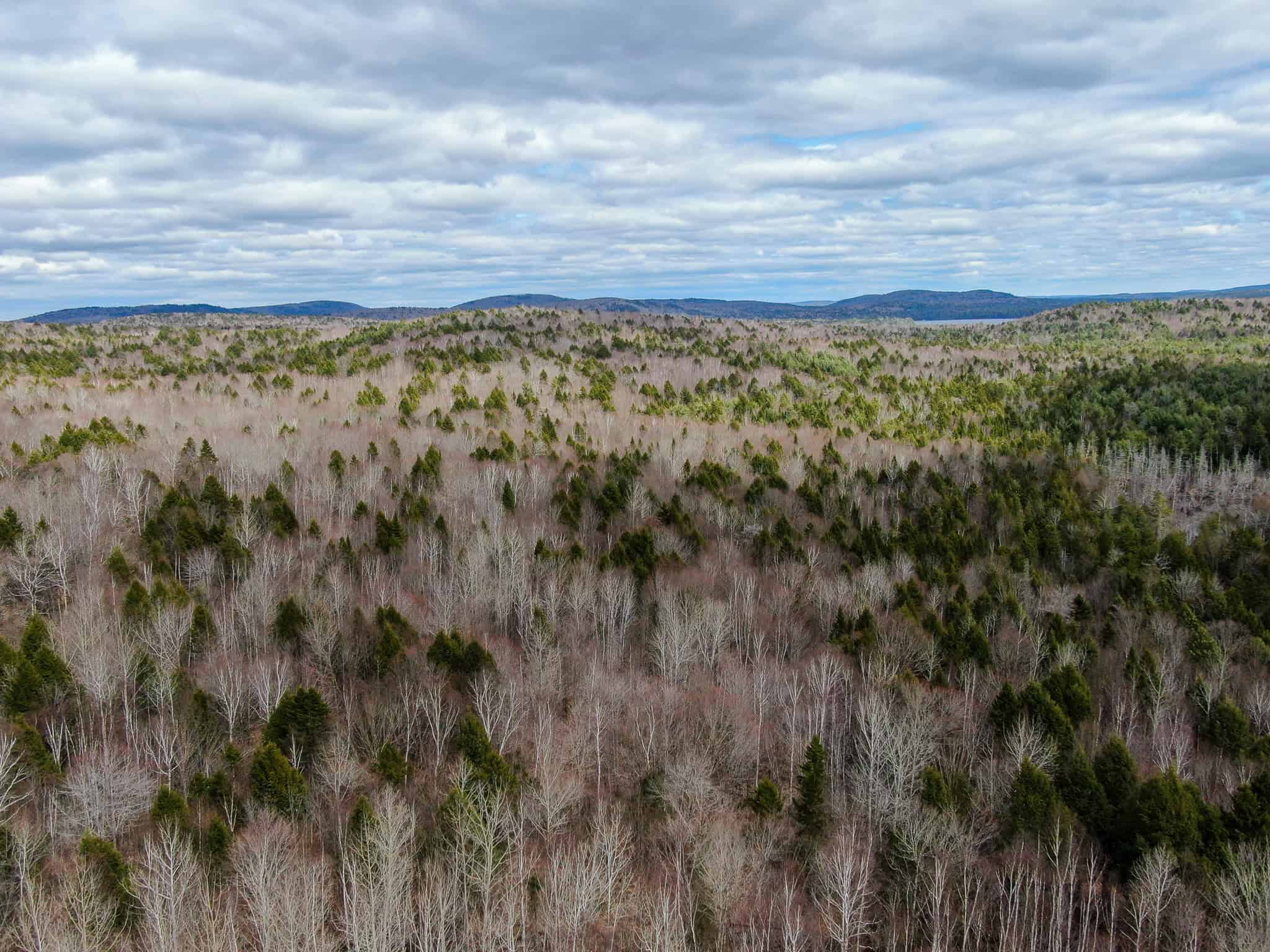 40.8 Acres of Off-Grid Paradise in Lakeville, Maine