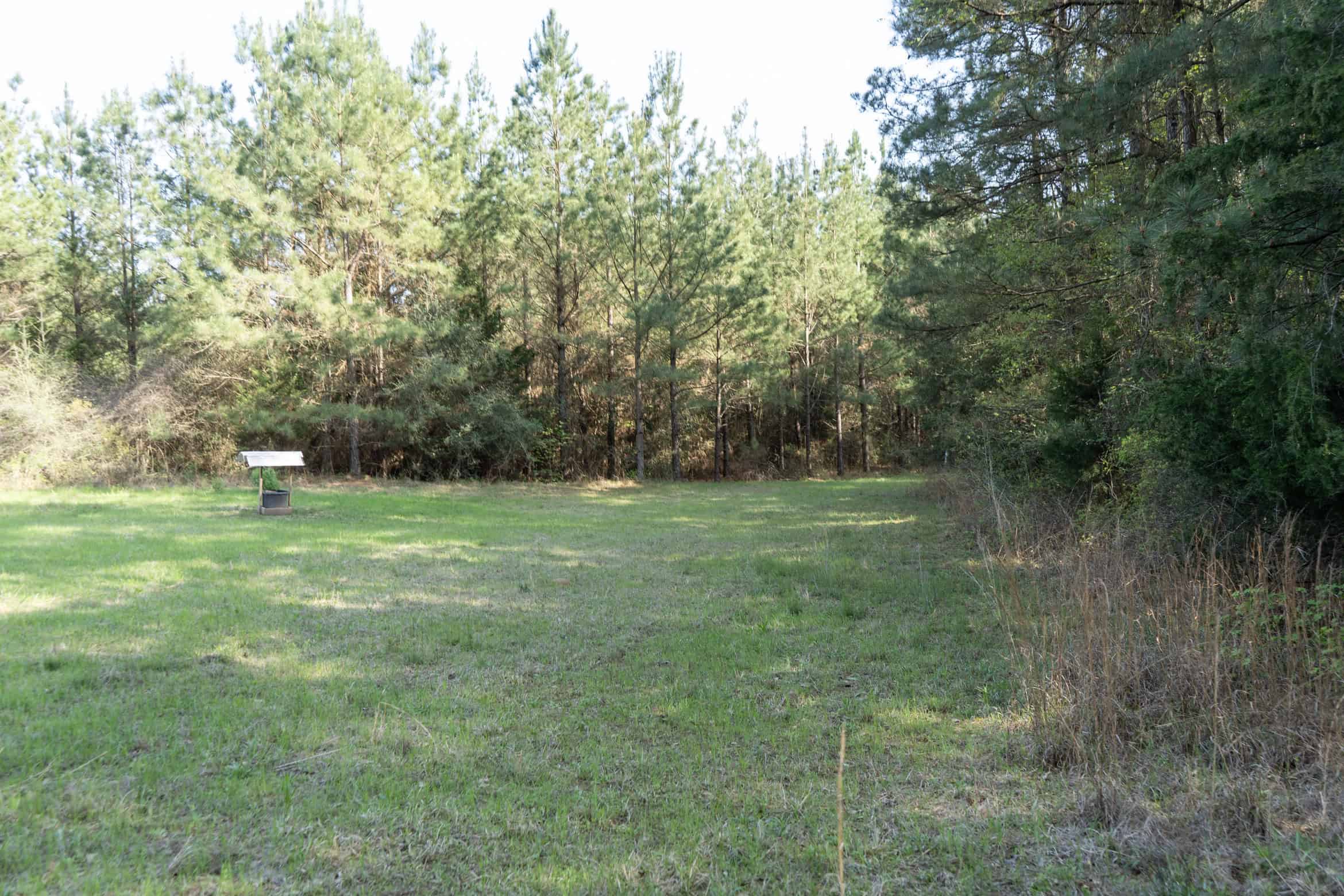 Longstraw 53 (Tract 2) Jackson Parish Timberland