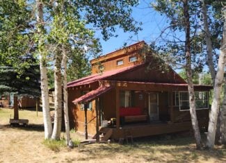 Cabin on 36 Acres with National Forest Access