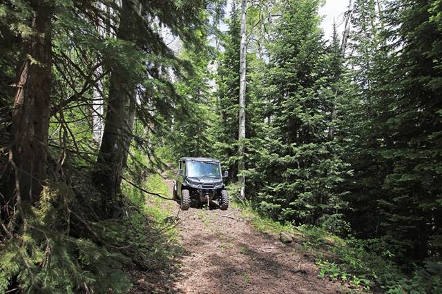 Colorado Hunting Land For Sale Near Vega State Park