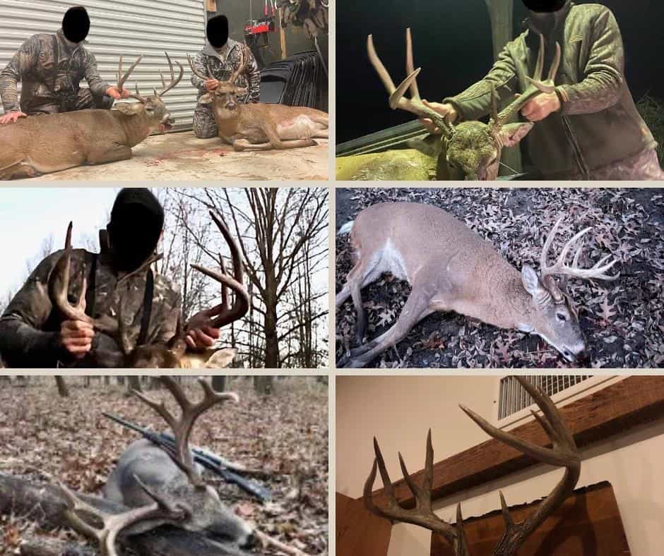 Legacy Waterfowl Hunting in the Mississippi Delta