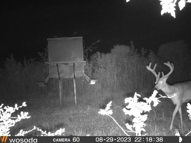 Deer, Duck, and Turkey Hunting in Claiborne County, MS