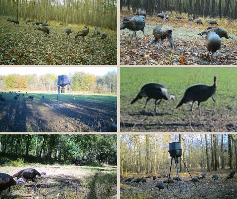 Legacy Waterfowl Hunting in the Mississippi Delta