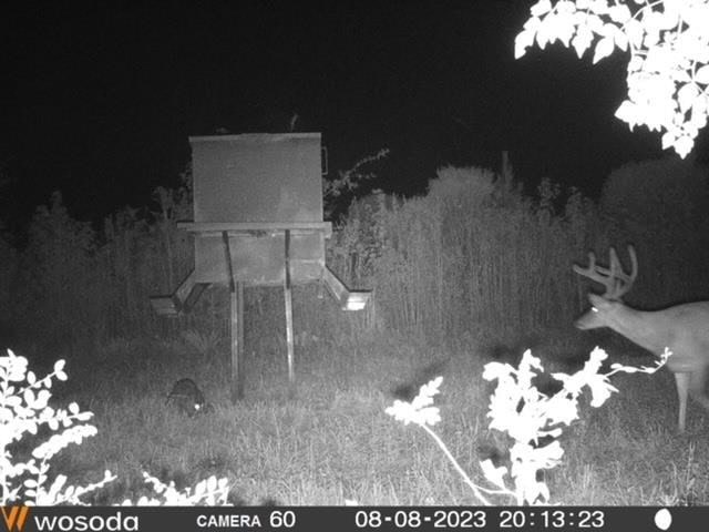 Deer, Duck, and Turkey Hunting in Claiborne County, MS