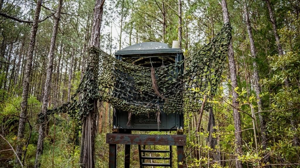 Affordable Property in Woodville, MS