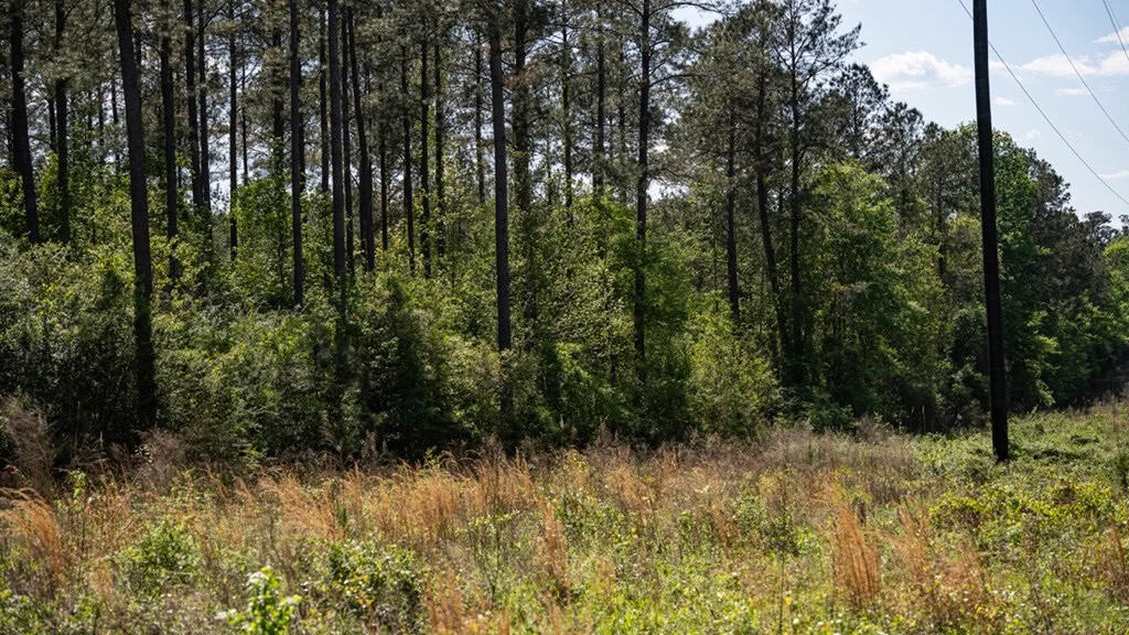 Deer and Turkey Property in Pike County, MS