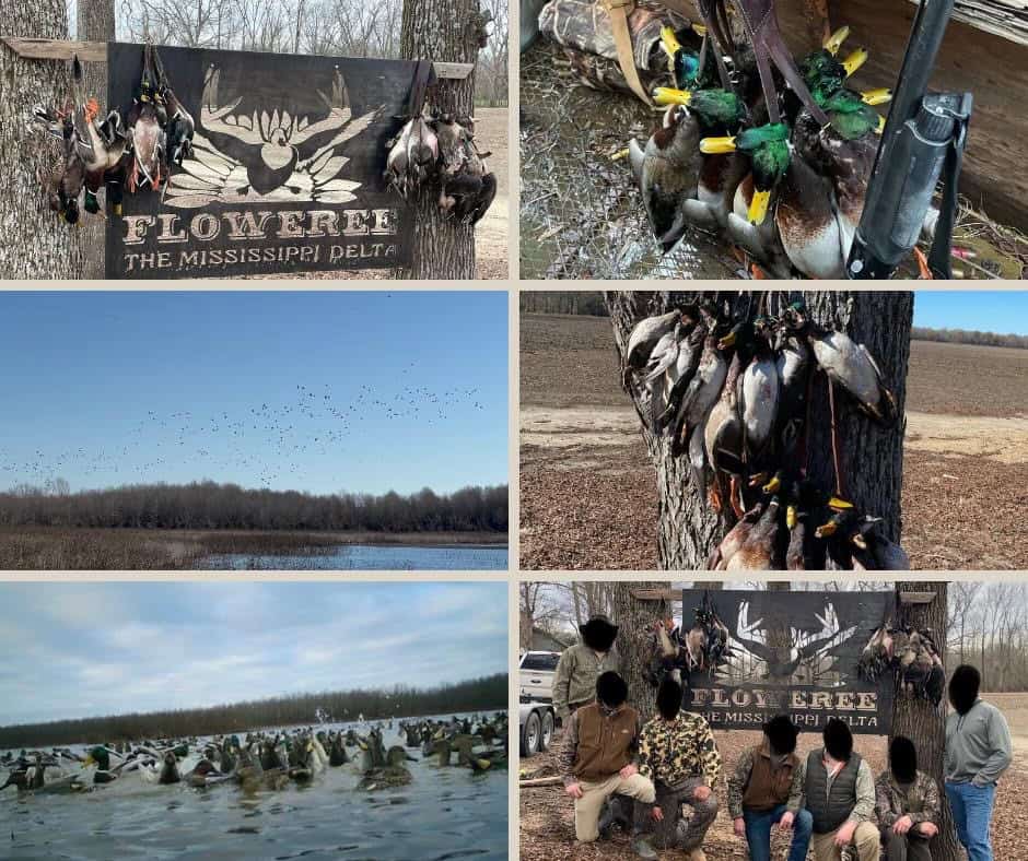Legacy Waterfowl Hunting in the Mississippi Delta