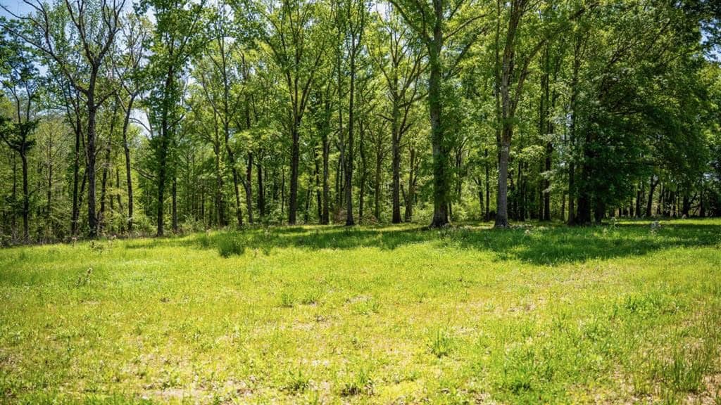 Deer, Duck, and Turkey Hunting in Claiborne County, MS