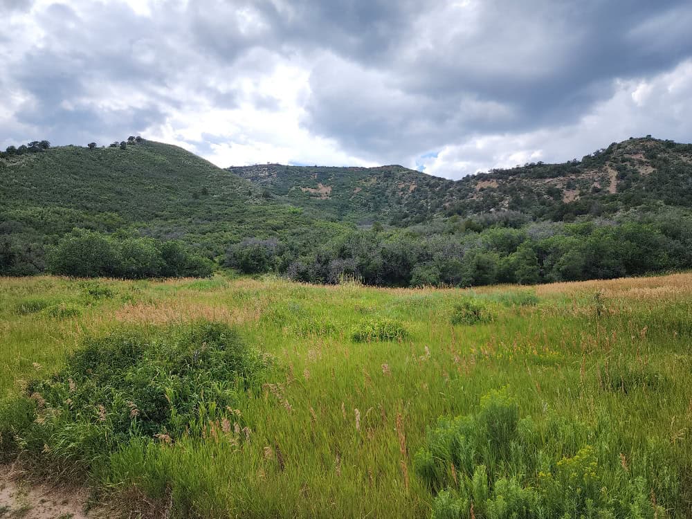 Cabin on 36 Acres with National Forest Access