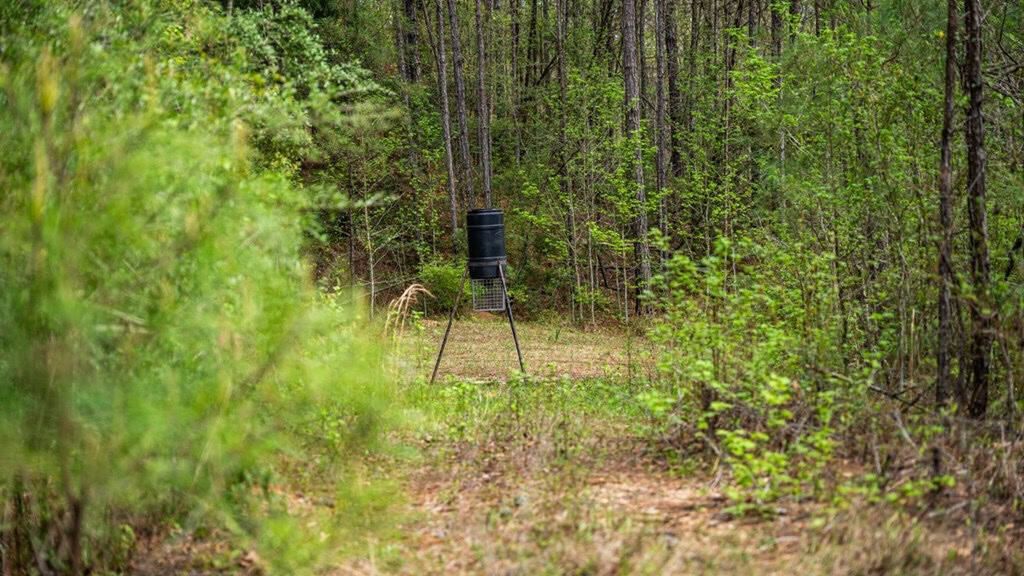 Affordable Property in Woodville, MS