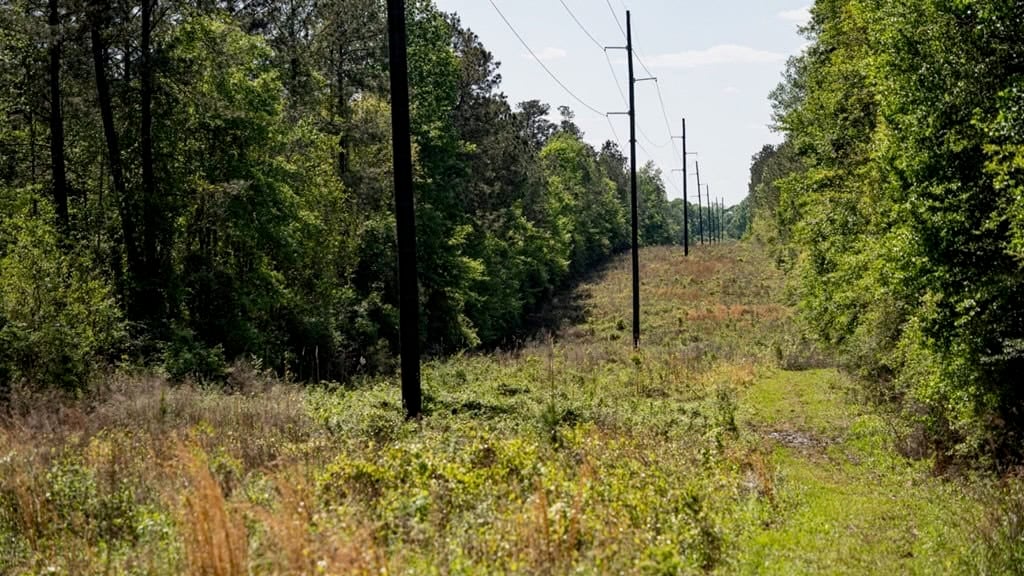 Deer and Turkey Property in Pike County, MS