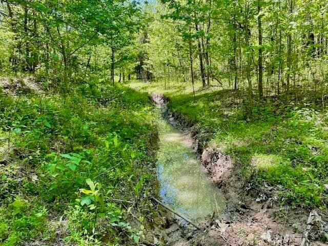 69 Acres For Sale Starkville MS