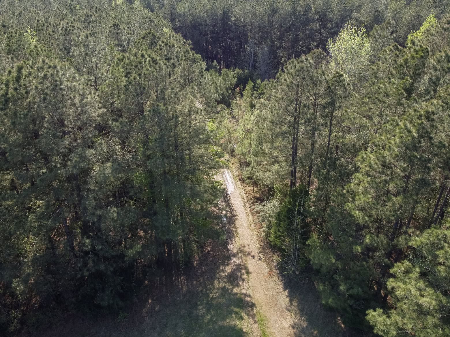 Longstraw 53 (Tract 2) Jackson Parish Timberland