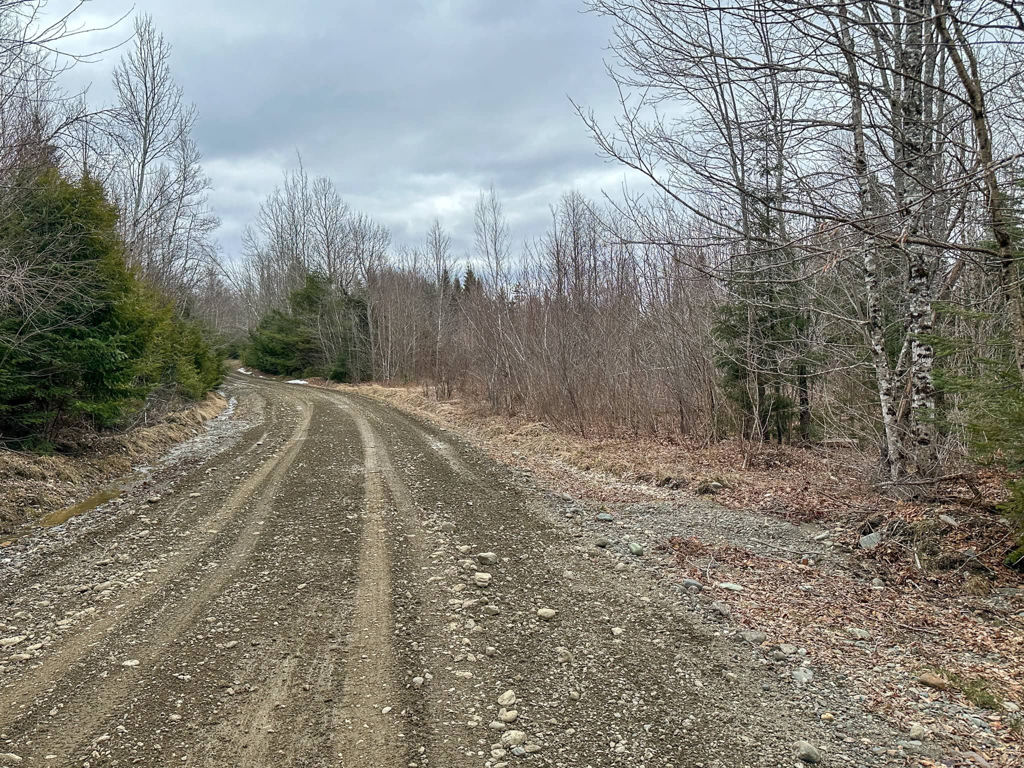 46.8 Acres of Maine Land for Sale – Remote, Forested, Affordable
