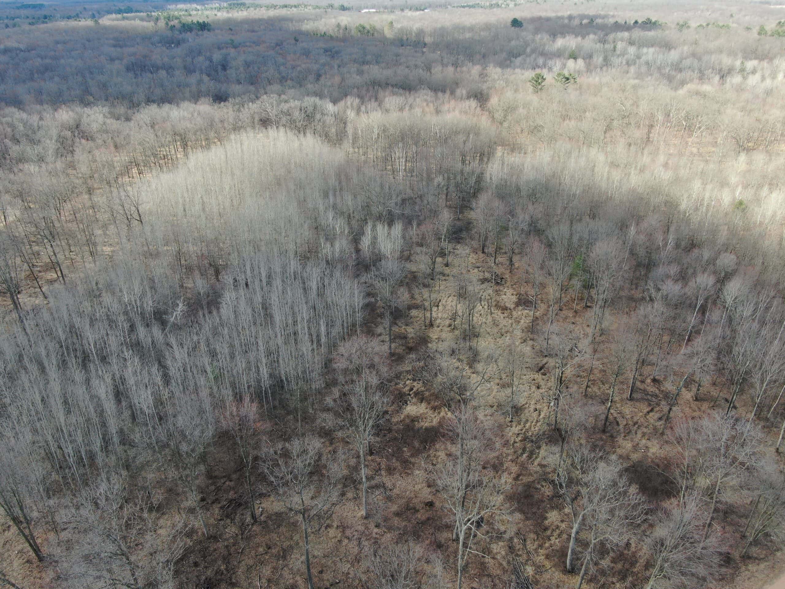75-acre parcel in the heart of Clark County Wisconsin