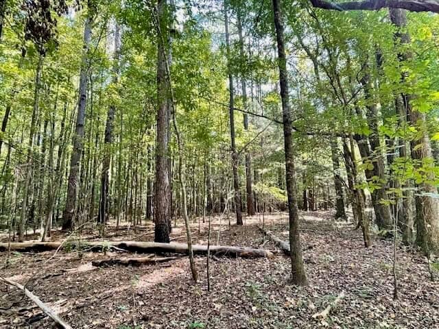69 Acres For Sale Starkville MS