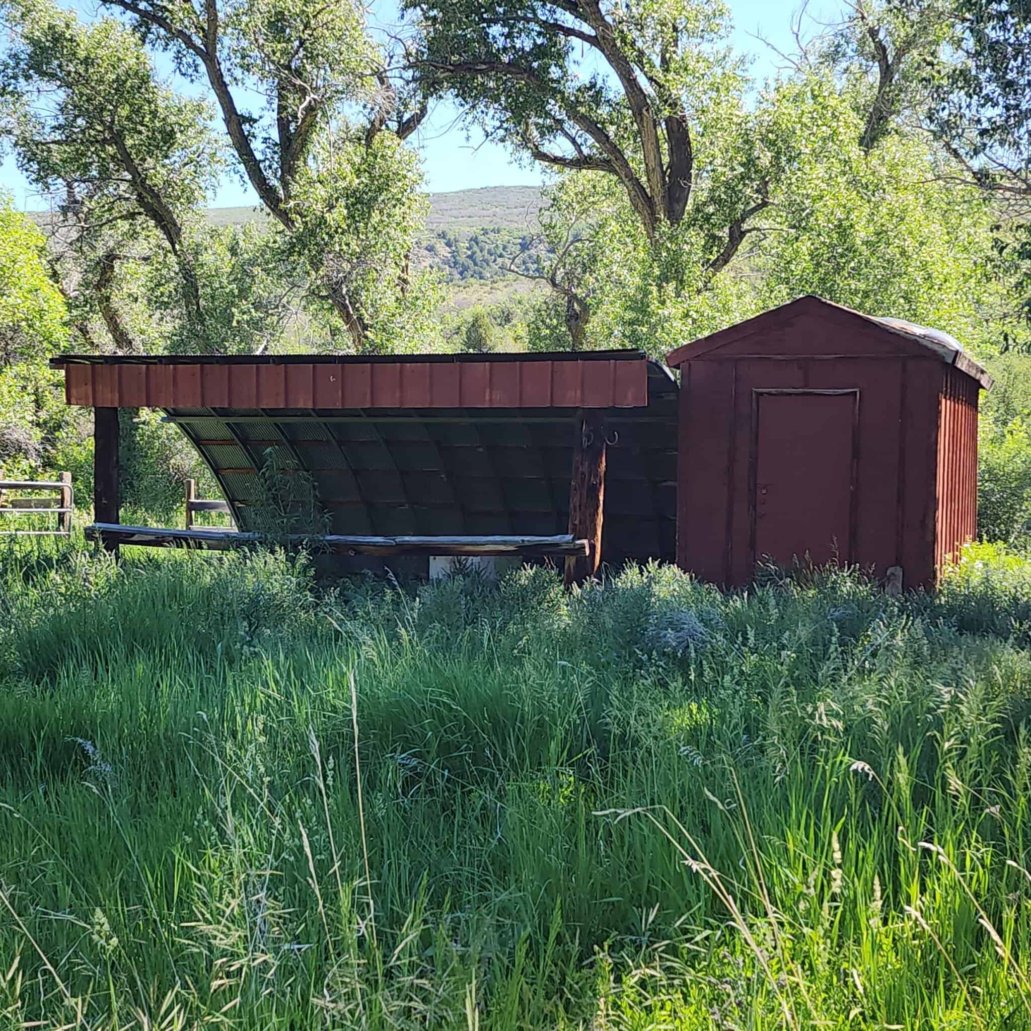 Cabin on 36 Acres with National Forest Access