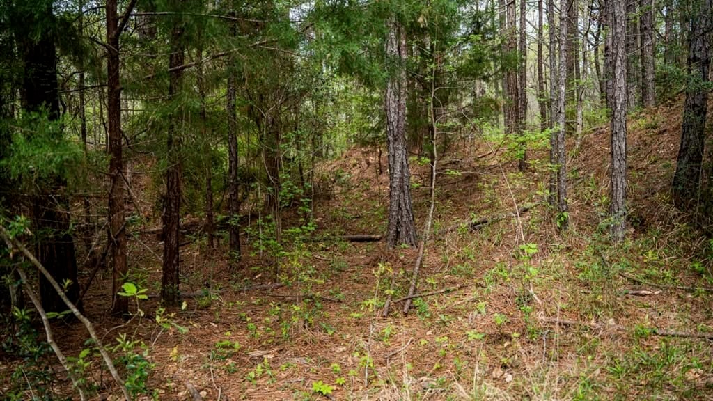Affordable Property in Woodville, MS