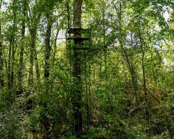 Deer and Turkey Property in Pike County, MS