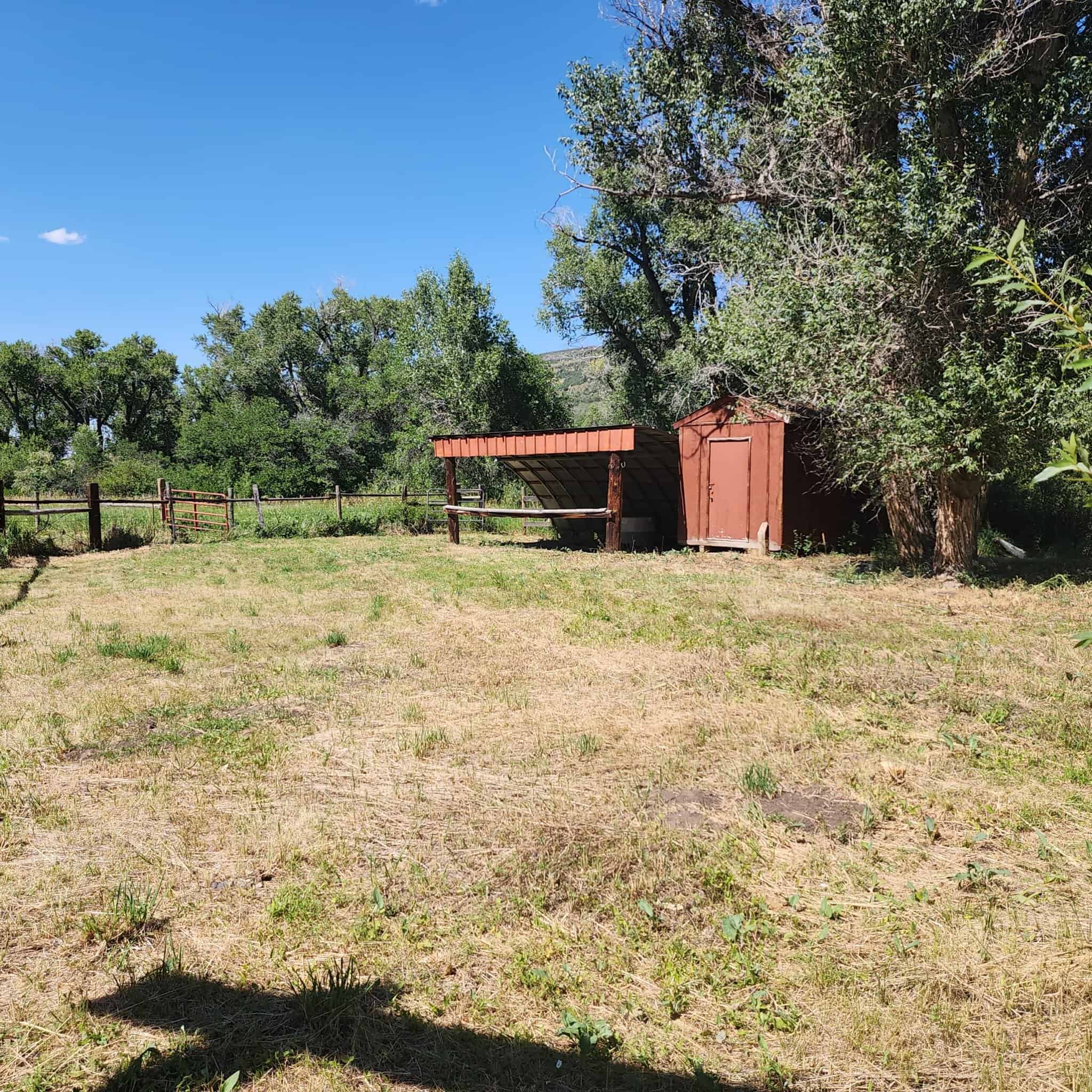 Cabin on 36 Acres with National Forest Access