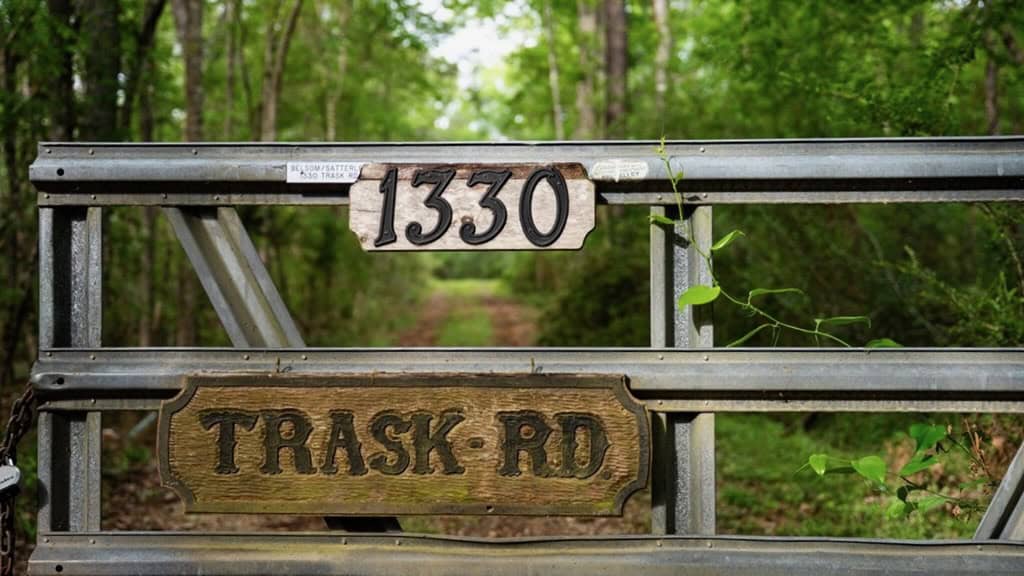 183 Acres and Camp for Sale with Lake, Timber Amite Co., MS