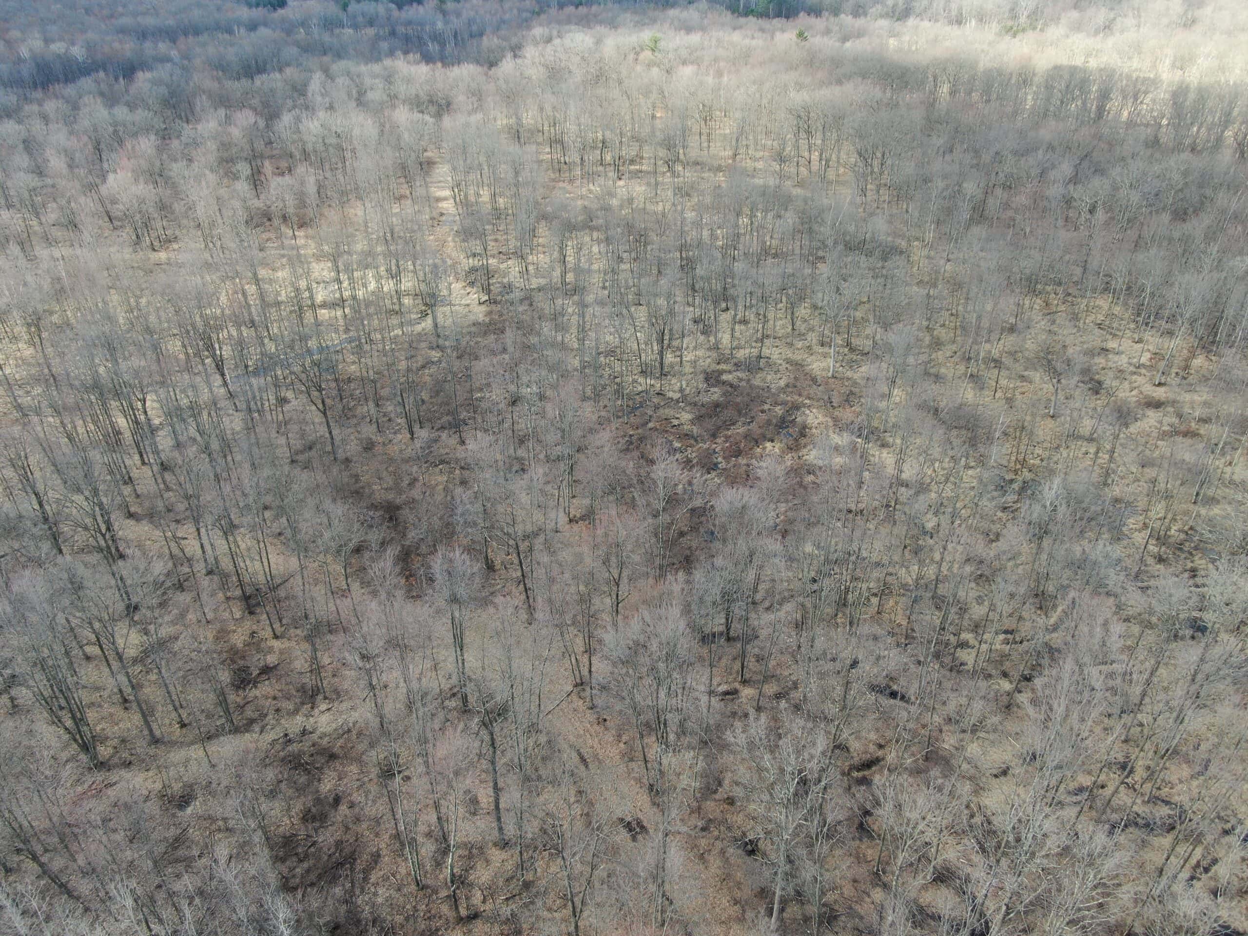75-acre parcel in the heart of Clark County Wisconsin