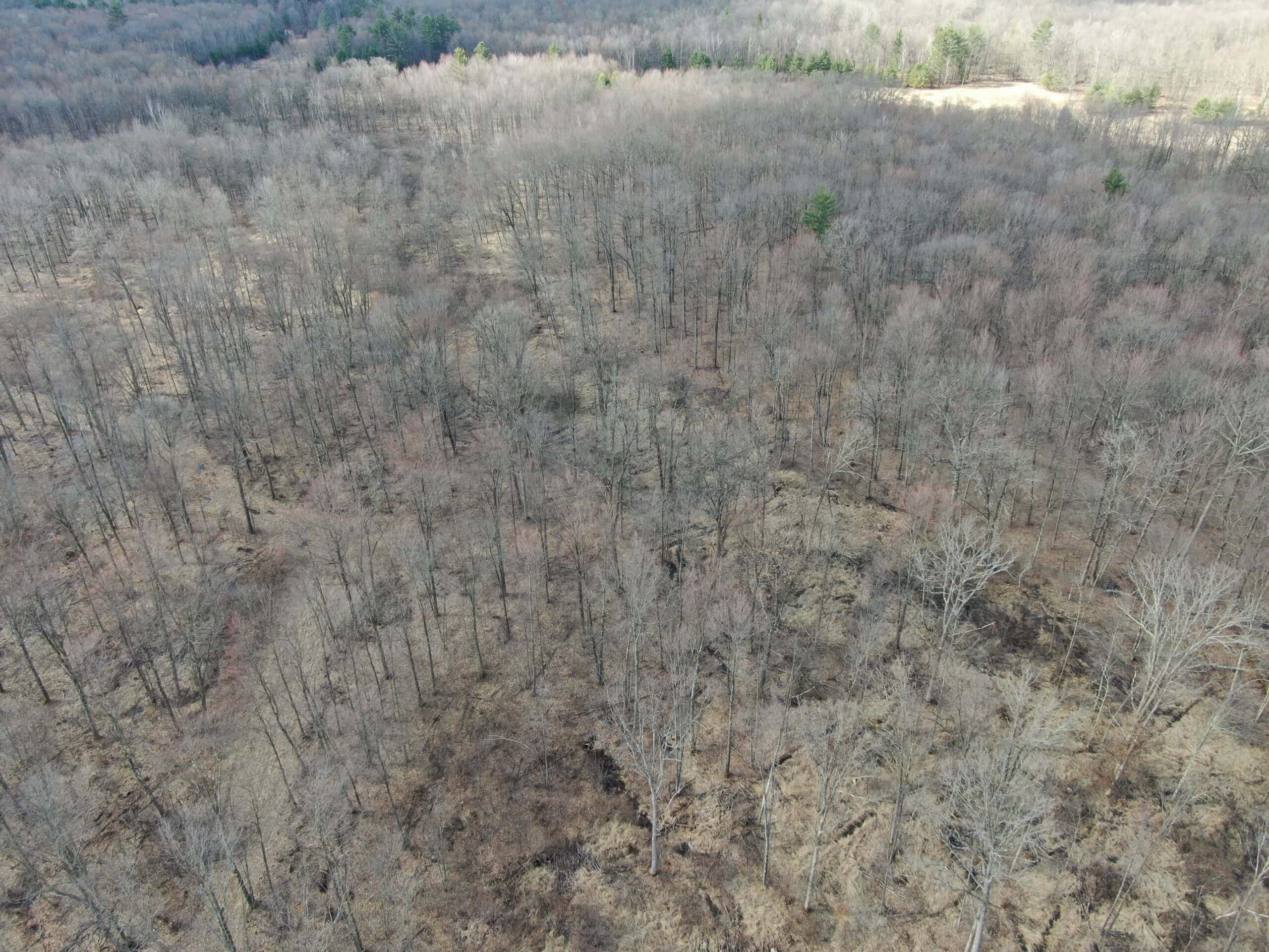 75-acre parcel in the heart of Clark County Wisconsin