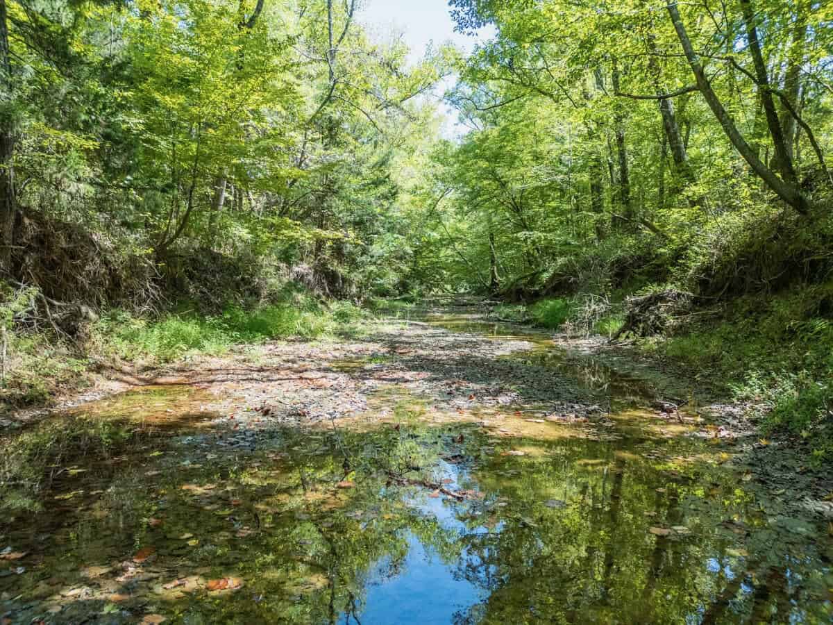 69 Acres For Sale Starkville MS
