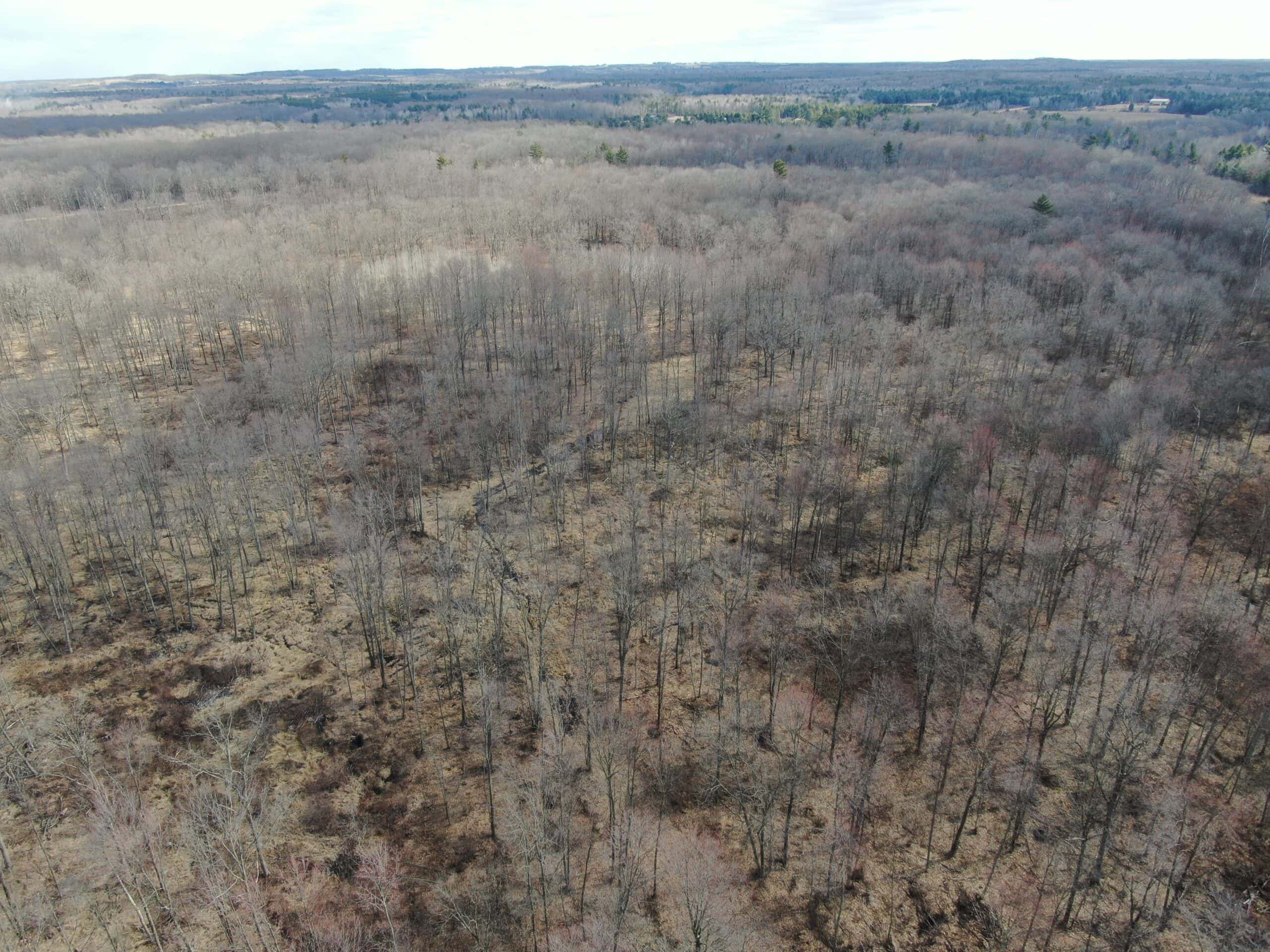 75-acre parcel in the heart of Clark County Wisconsin