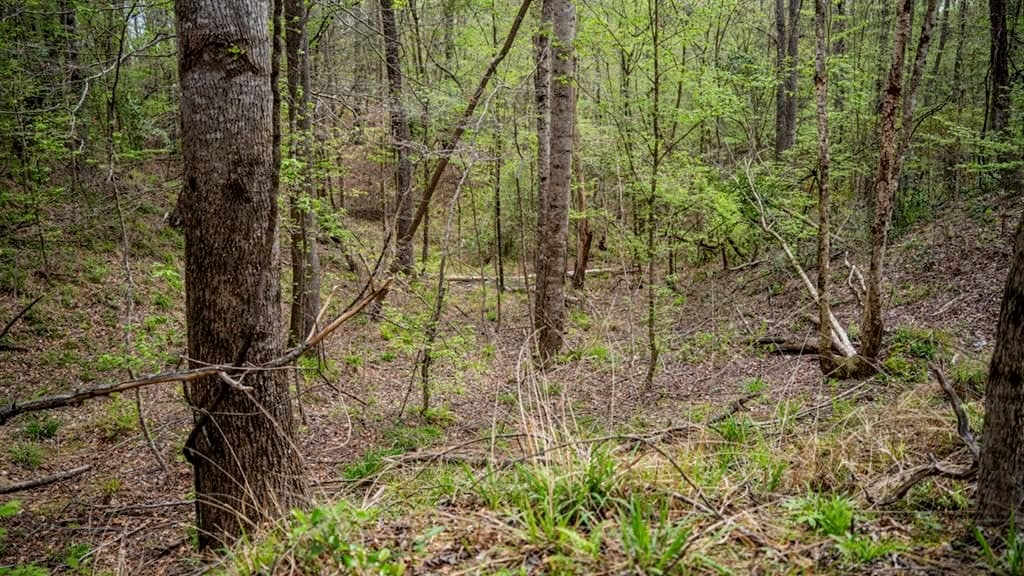 Affordable Property in Woodville, MS