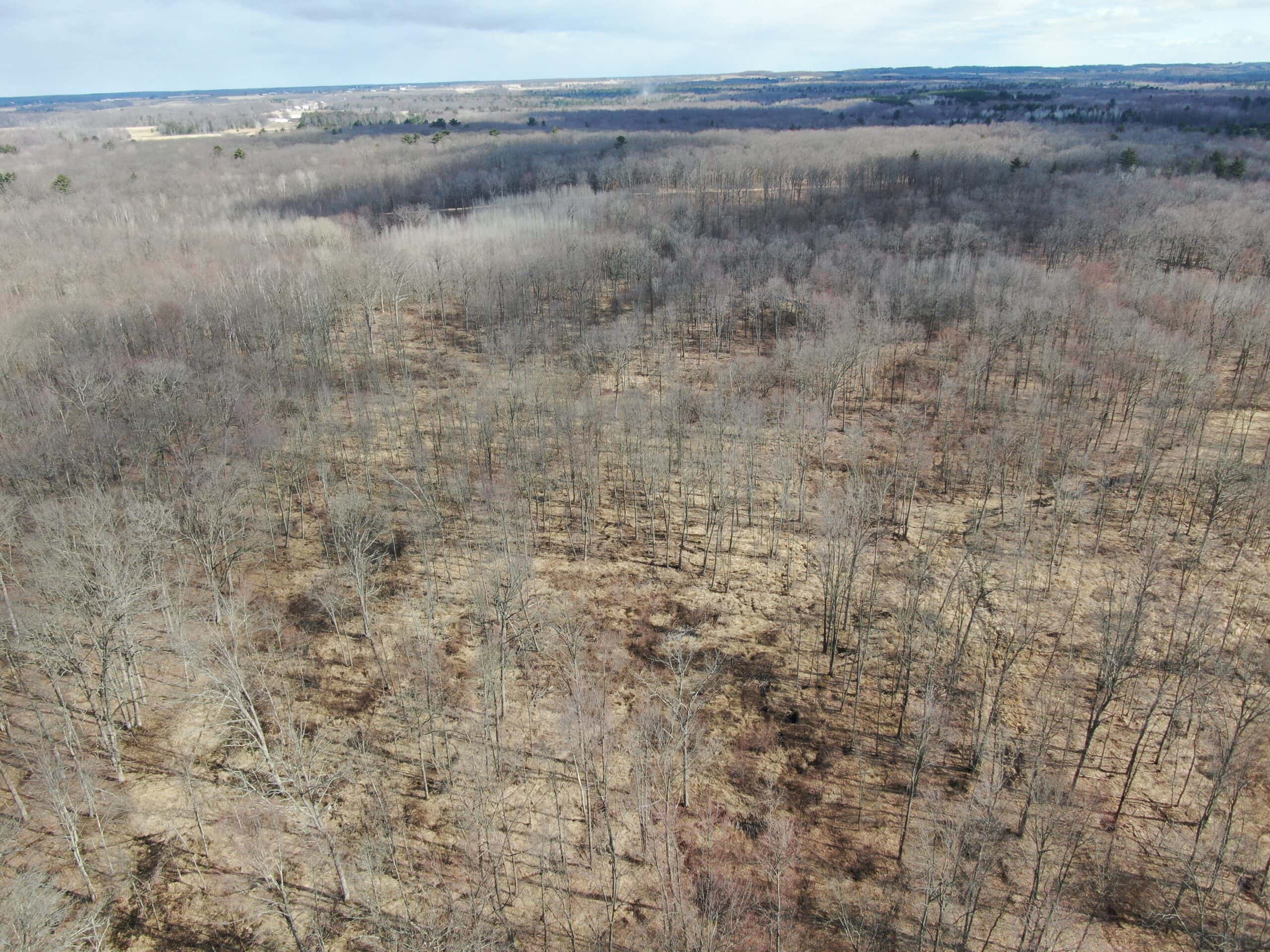 75-acre parcel in the heart of Clark County Wisconsin