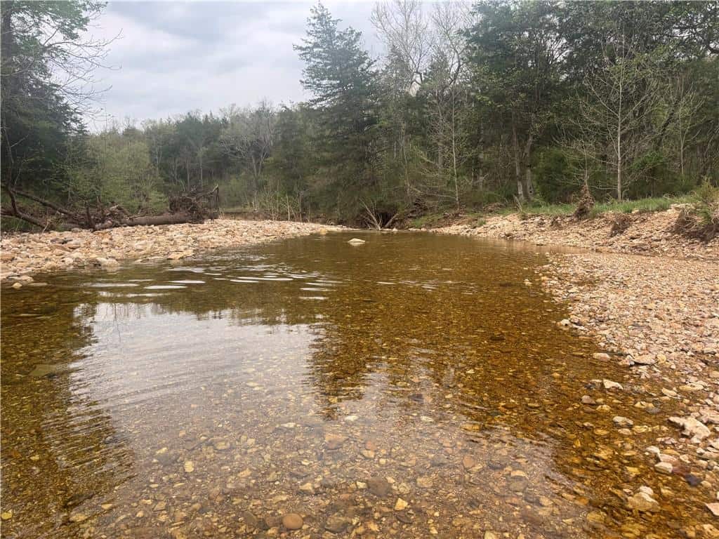 120 Acres Arkansas Hunting Land For Sale with Creek Frontage and Trails
