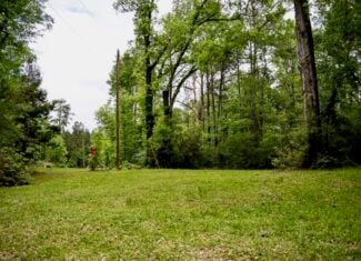 183 Acres and Camp for Sale with Lake, Timber Amite Co., MS