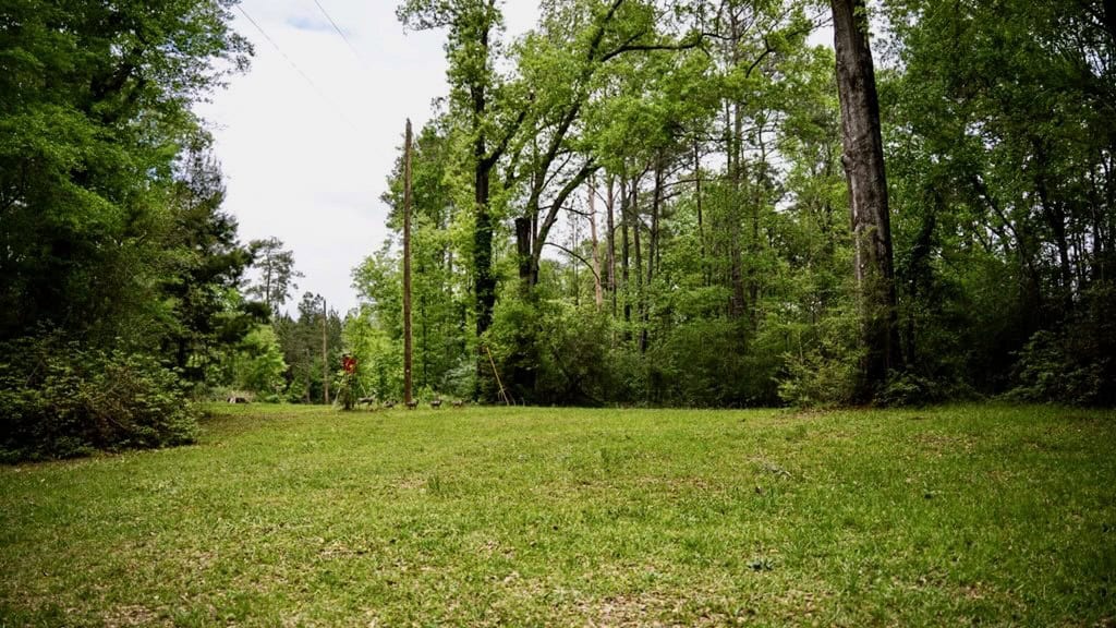 183 Acres and Camp for Sale with Lake, Timber Amite Co., MS