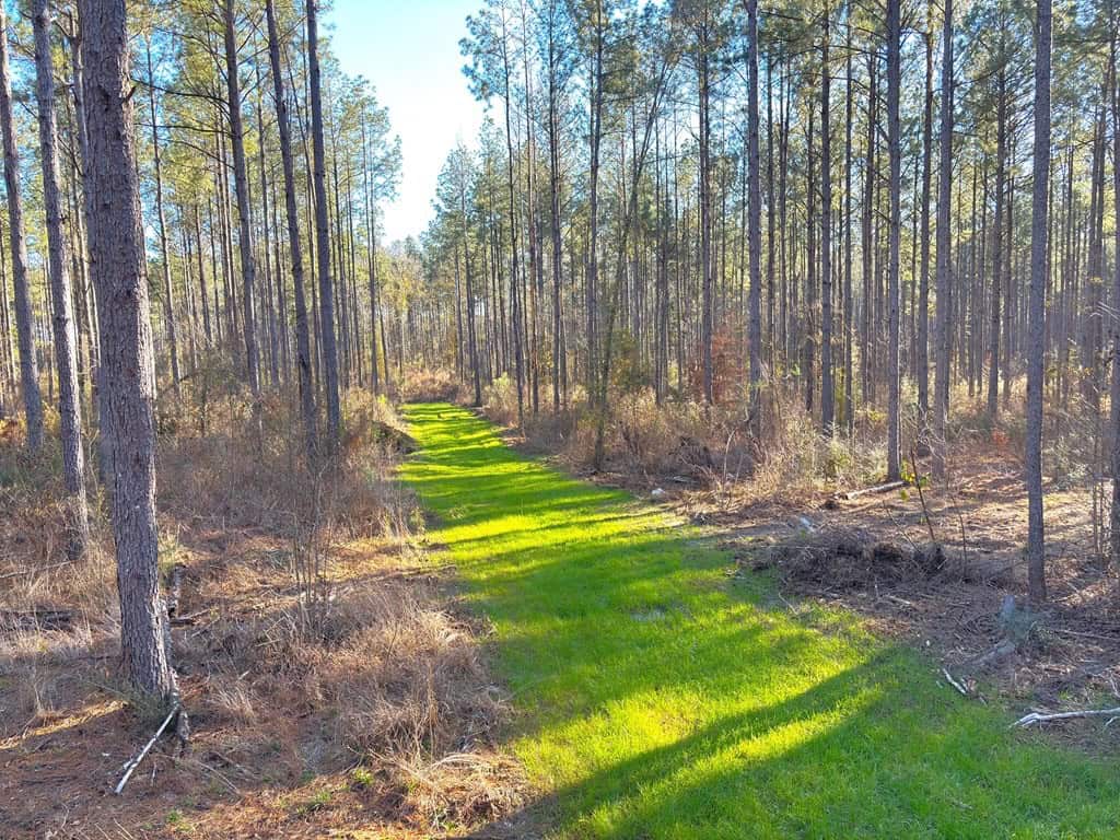 Amite County Hunting Land for Sale