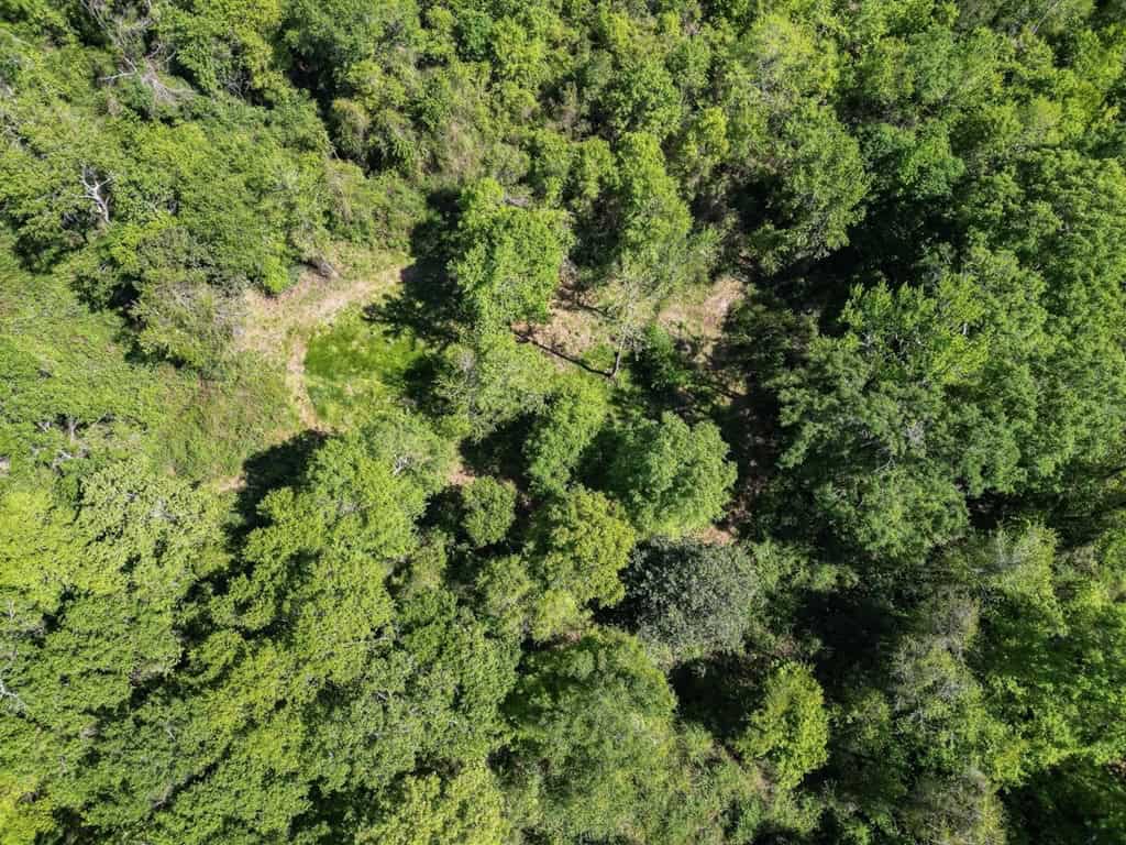 Deer and Turkey Property in Pike County, MS